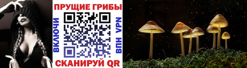 Галлюциногенные грибы MAGIC MUSHROOMS  Янаул 