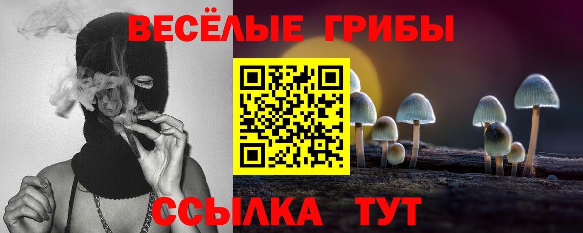наркошоп  Вход с VPN  Янаул  Галлюциногенные грибы MAGIC MUSHROOMS 